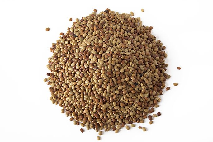 Horse Gram